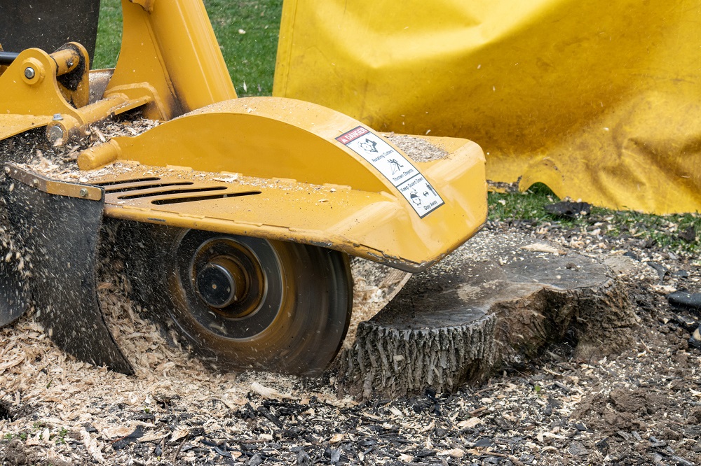 how to use a stump grinder